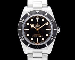 Tudor 79000N Black Bay 54 SS / Bracelet