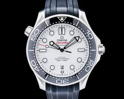 Seamaster Diver 300M Co-Axial Master Chronometer 42MM