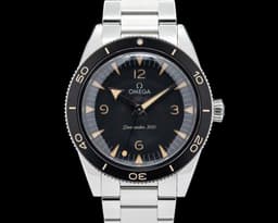 Seamaster 300 Black Dial Black Bezel Co-Axial 41MM