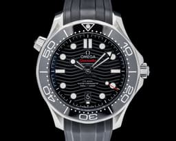 Seamaster Diver 300M Co-Axial Master Chronometer 42MM