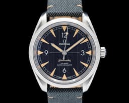 Railmaster Master Chronometer Co Axial SS Black Dial