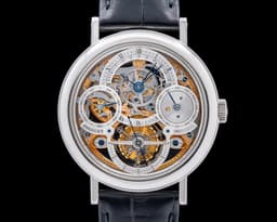 Tourbillon Perpetual Calendar Platinum Manual Wind Skeleton Dial